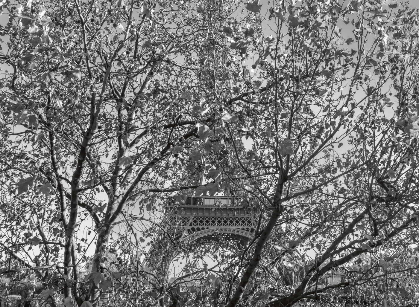  Place de Varsovie, Paris 2015 