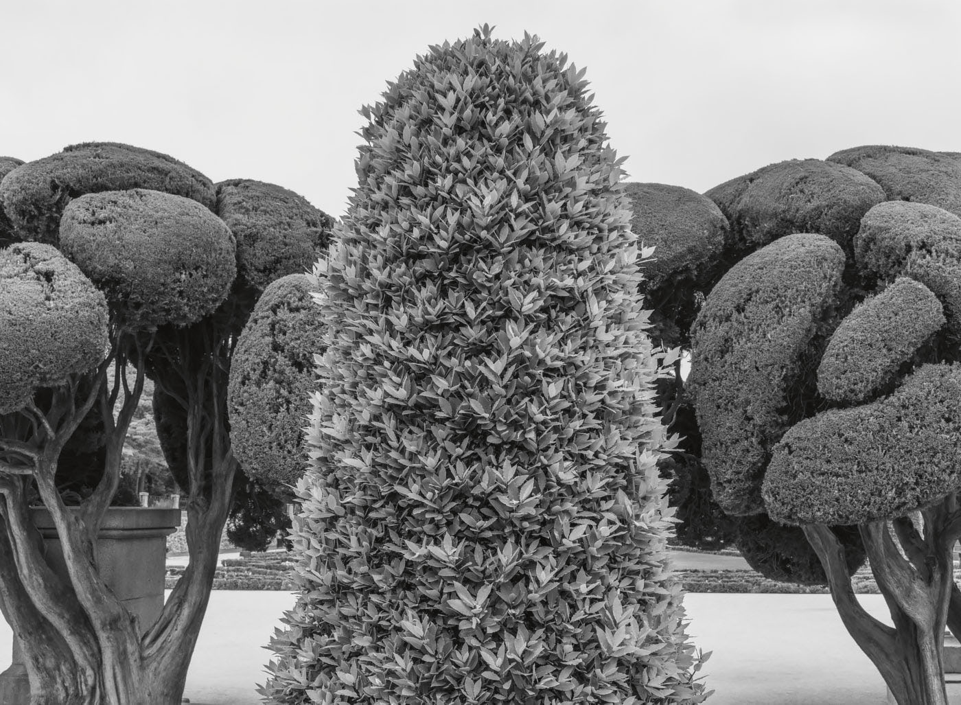  Parque de El Retiro, Madrid 2017 