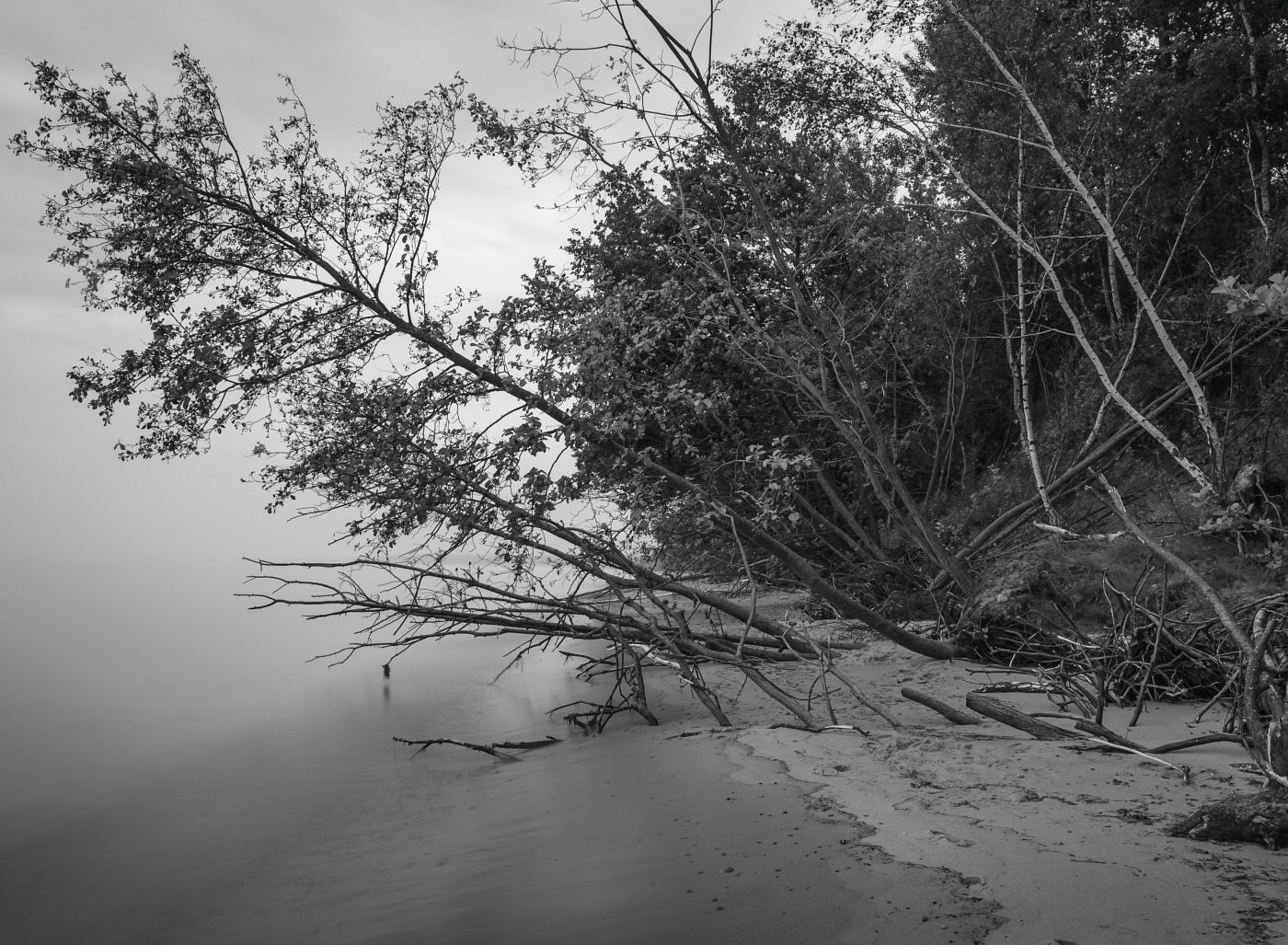  Knäbäckshusen, Österlen 2011 