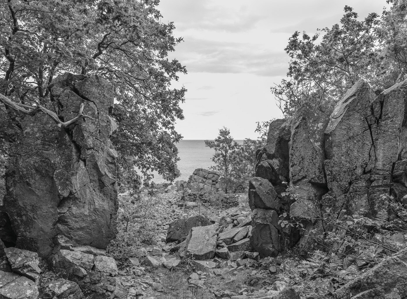  Stenshuvud, Österlen 2014 