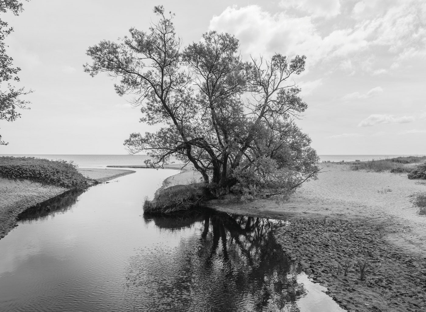  Haväng, Österlen 2015 