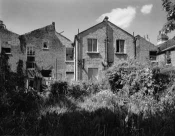  67 Stonhouse – our back garden 