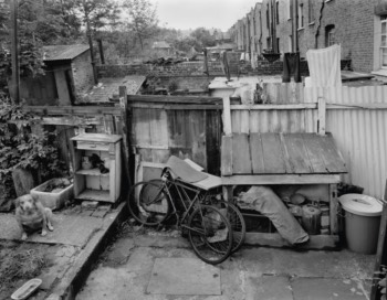  67 Stonhouse – our back garden 